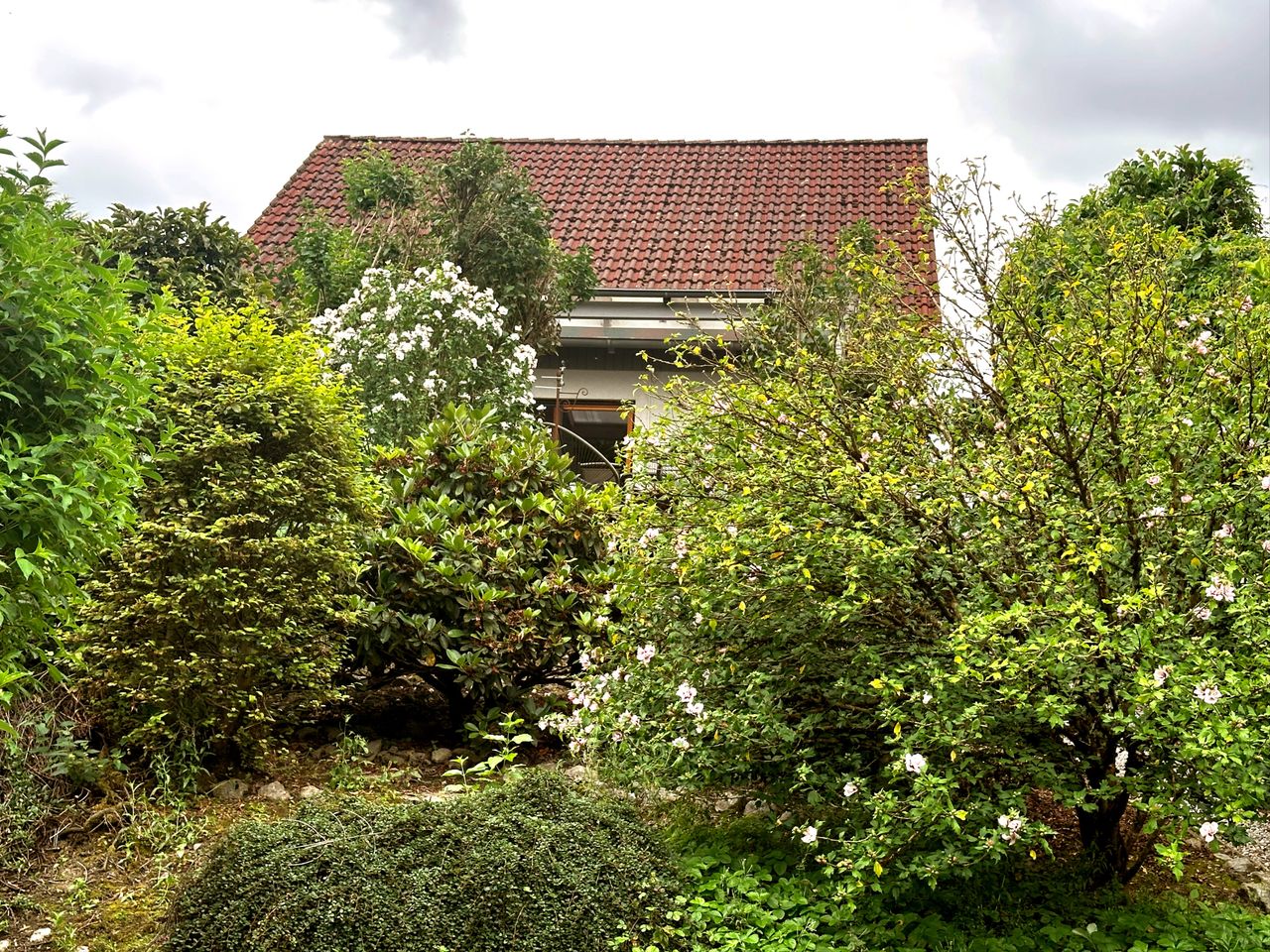 geschützte Terrassensicht