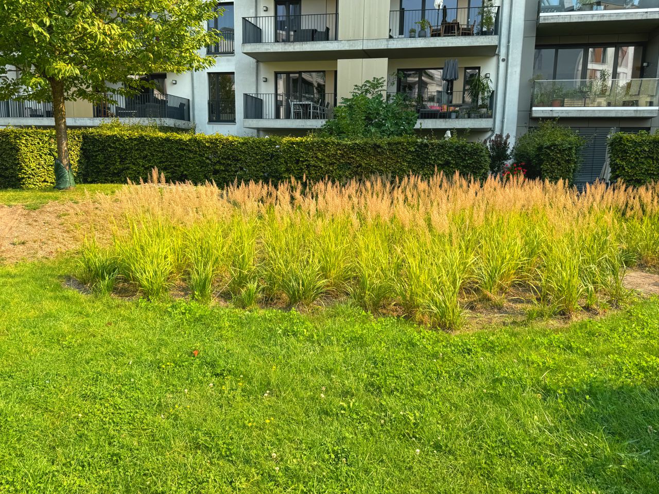 uneinsehbare Gartenbereiche der EG Wohnungen