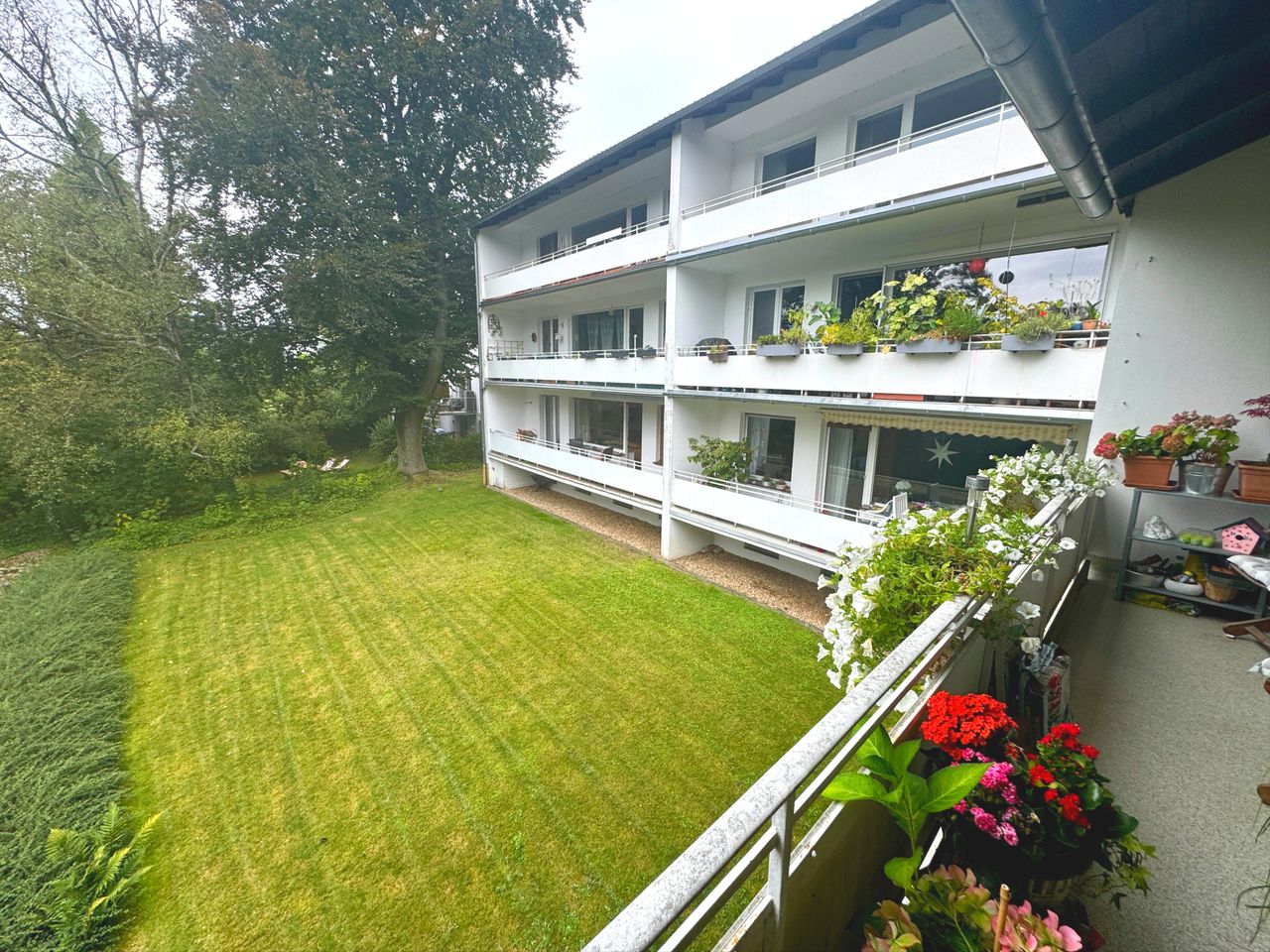 grüne Aussicht vom Balkon